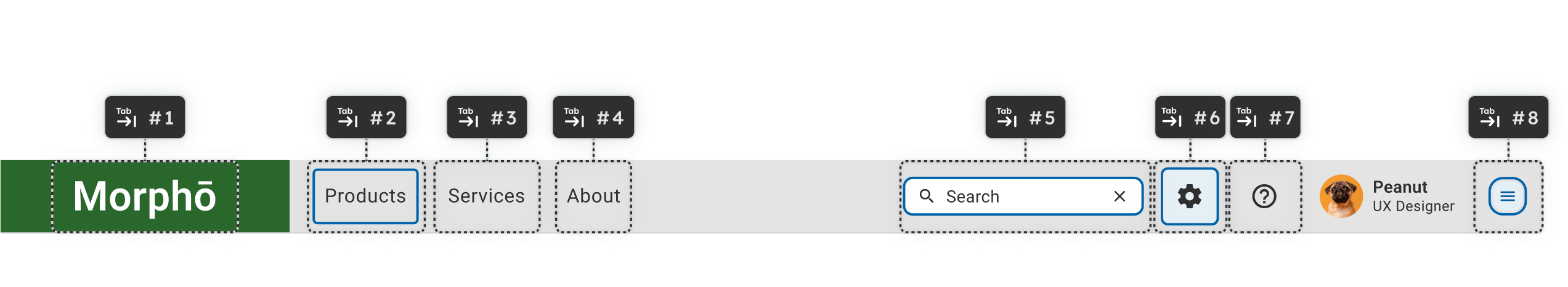 User Navigation